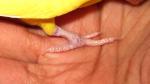 post-27728-1294765882_thumb.jpg