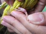 post-27728-1312704928_thumb.jpg