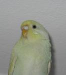post-27754-1271507601_thumb.jpg