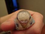 post-27794-1271780203_thumb.jpg