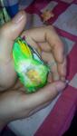 post-27962-1390047930_thumb.jpg
