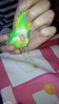 post-27962-1390047992_thumb.jpg