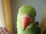 post-28126-1279530262_thumb.jpg
