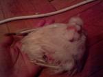 post-28260-1295624549_thumb.jpg