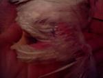 post-28260-1295624560_thumb.jpg