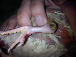 post-28260-1303055687_thumb.jpg
