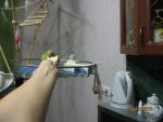 post-28451-1292384457_thumb.jpg