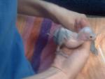 post-28451-1332658269_thumb.jpg