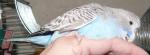 post-28469-1355931814_thumb.jpg