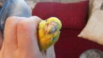 post-28661-1435566793_thumb.jpg