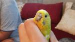 post-28661-1435566815_thumb.jpg