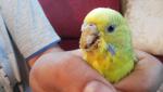 post-28661-1435566836_thumb.jpg