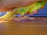 post-28772-1276187755_thumb.jpg