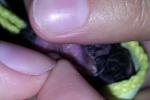 post-28943-1409069154_thumb.jpg