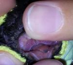 post-28943-1409069166_thumb.jpg