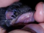 post-28943-1409069219_thumb.jpg