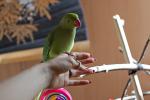 post-28983-1286533250_thumb.jpg
