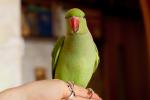 post-28983-1286534542_thumb.jpg