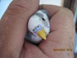 post-29134-1277386342_thumb.jpg
