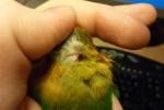 post-29248-1303552124_thumb.jpg