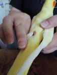 post-2935-1463222352_thumb.jpg