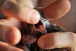 post-29564-1390114229_thumb.jpg