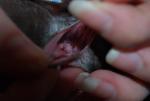 post-29564-1390144348_thumb.jpg