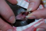 post-29564-1390144425_thumb.jpg