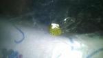 post-29564-1393763561_thumb.jpg