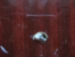 post-29575-1279037635_thumb.jpg