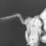 post-30150-1437743209_thumb.jpg