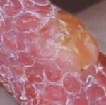 post-30339-1282325229_thumb.jpg