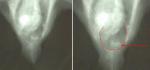 post-30486-1381862063_thumb.jpg