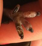 post-30486-1469565716_thumb.jpg