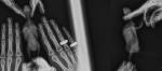 post-30523-1440839288_thumb.jpg
