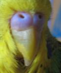 post-30896-1302529373_thumb.jpg