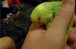 post-30991-1284903202_thumb.jpg