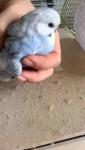 post-31424-1387187713_thumb.jpg