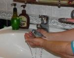 post-31599-1483180830_thumb.jpg