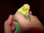 post-31617-1287976901_thumb.jpg