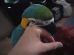 post-31716-1289505261_thumb.jpg
