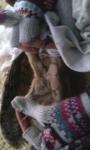 post-3173-1420484332_thumb.jpg