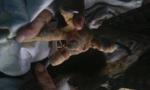 post-3173-1420484357_thumb.jpg