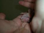 post-31894-1330866747_thumb.jpg