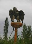 Canon_Pro1_030.jpg