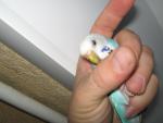 post-32085-1290248483_thumb.jpg