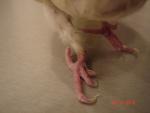 post-32199-1293306005_thumb.jpg