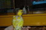 post-32201-1306422331_thumb.jpg