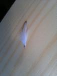 post-32462-1314560821_thumb.jpg