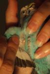 post-32475-1380728102_thumb.jpg